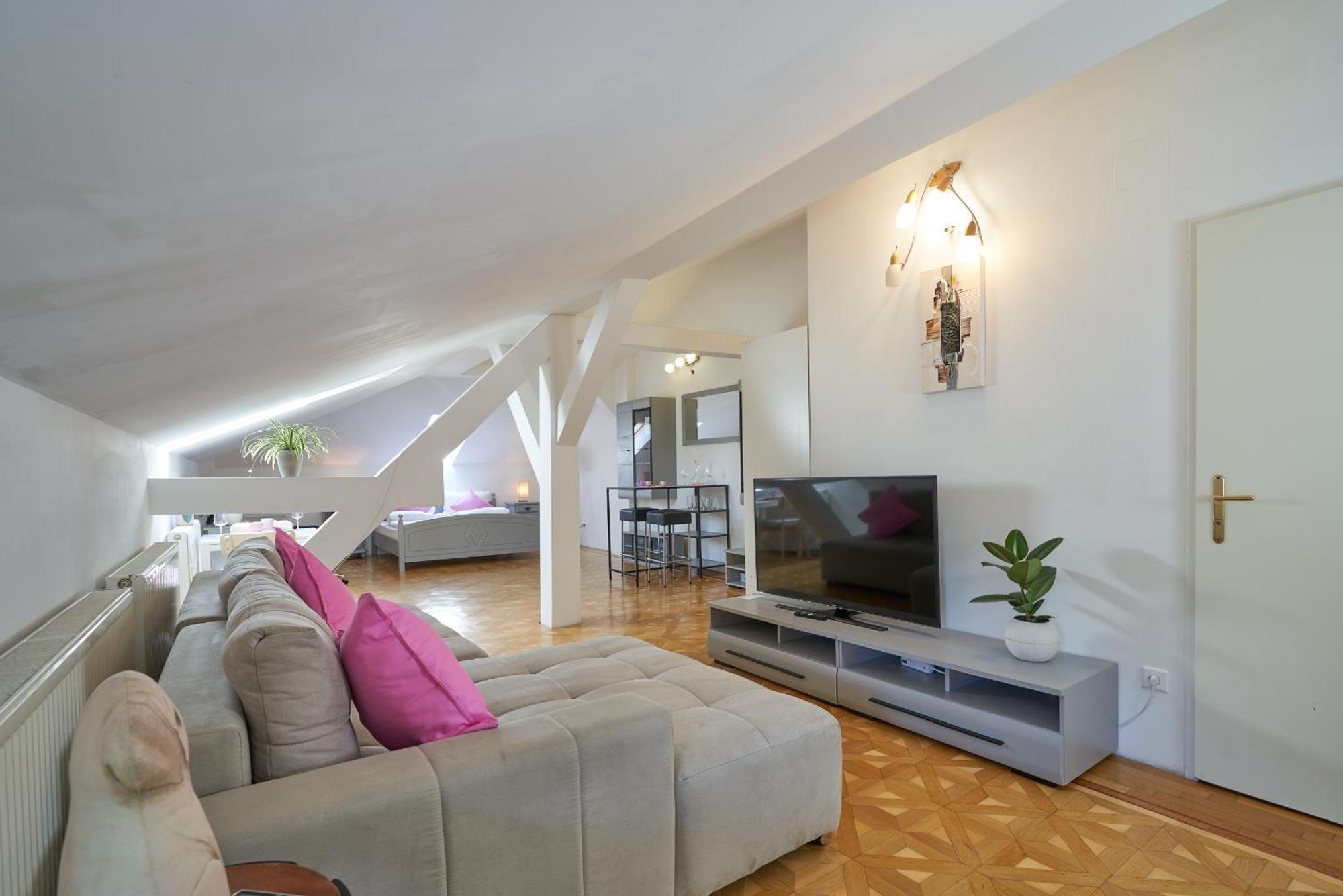 Big Apartment In Guesthouse Baden Eksteriør billede
